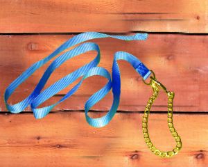 7ft Nylon Lead W/chain - Berry