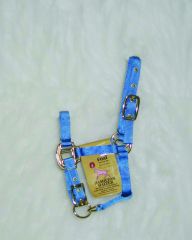 Foal Nylon Adj Halter - Berry