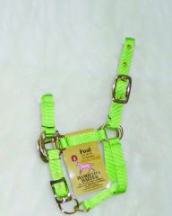 Foal Nylon Adj Halter - Lime