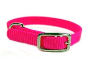 3/8" Nylon Dog Collar - Hot Pink 10