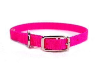 3/8" Nylon Dog Collar - Hot Pink 12