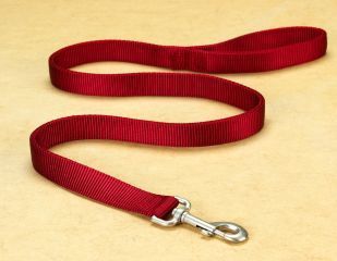 1" Deluxe Double Loop Nylon Lead w/swivel snap - Red (4')