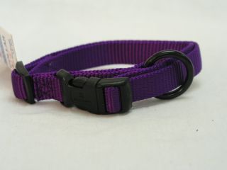 5/8" Fits All Adjustable Nylon Collar - Purple 12-18