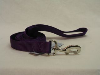 Single Thick Nylon Leash With Snap - Hot Purple