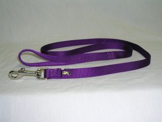 Single Thick Nylon Leash - Hot Purple