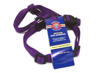 Adjustable Dog Harness - Hot Purple - Medium