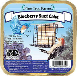 Blueberry Suet Cake - 12 oz.