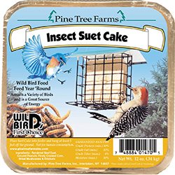 Insect Suet Cake - 12 oz.