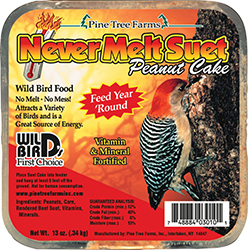 Never Melt Suet Berry Cake - 13 oz.