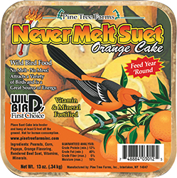 Never Melt Suet Orange Cake - 13 oz.