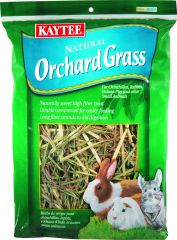 ORCHARD GRASS