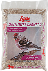 SUNFLOWER KERNEL