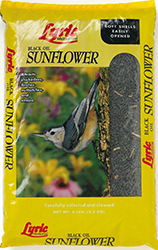 Lyric Black Oil Sunflower
