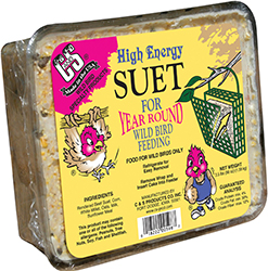 High Energy Suet