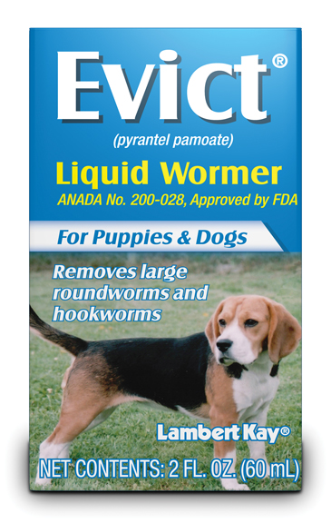 Evict Liquid Wormer For Dogs & Puppies - 2oz.