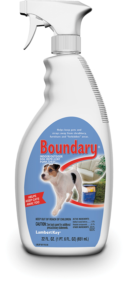 Boundary Dogs Pump - 22oz.