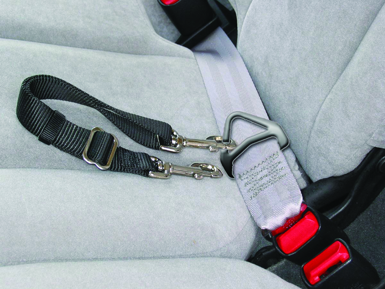 Adjustable Seat Leash