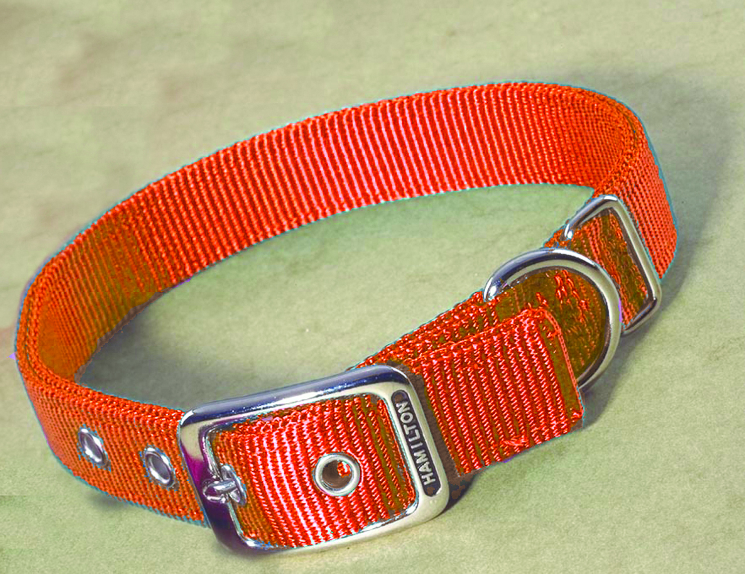 Double Nylon Dog Collar - Mango