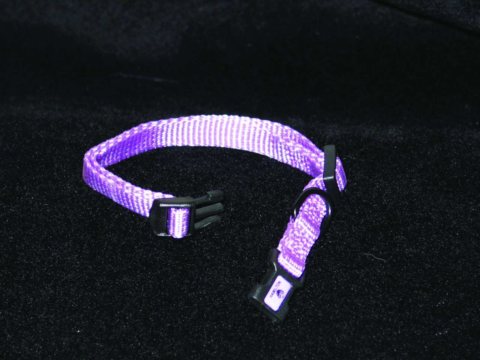 ADJUSTABLE DOG COLLAR