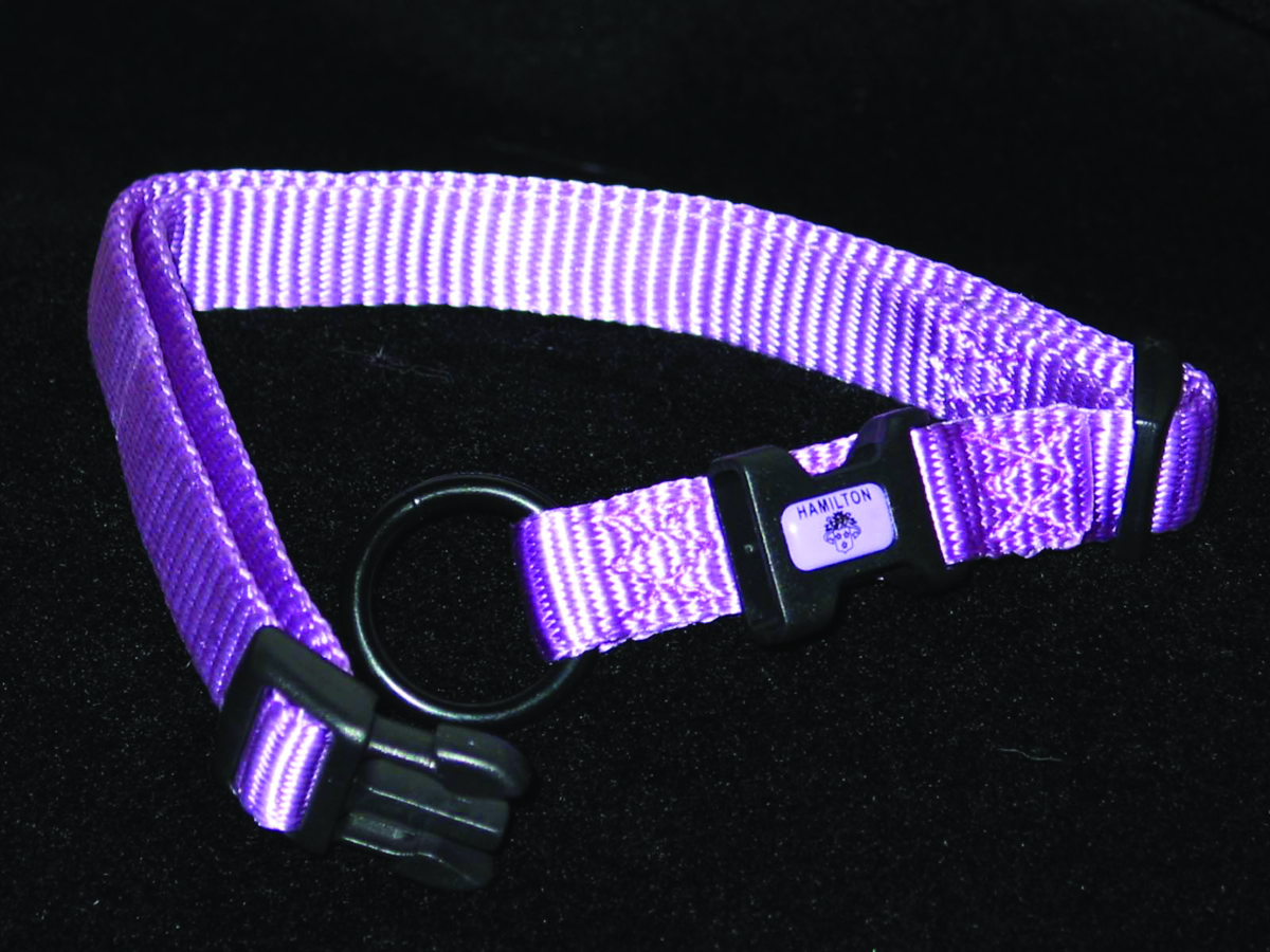 ADJUSTABLE DOG COLLAR