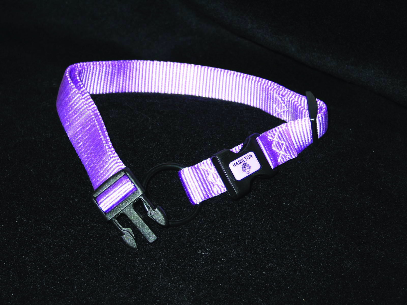 ADJUSTABLE DOG COLLAR