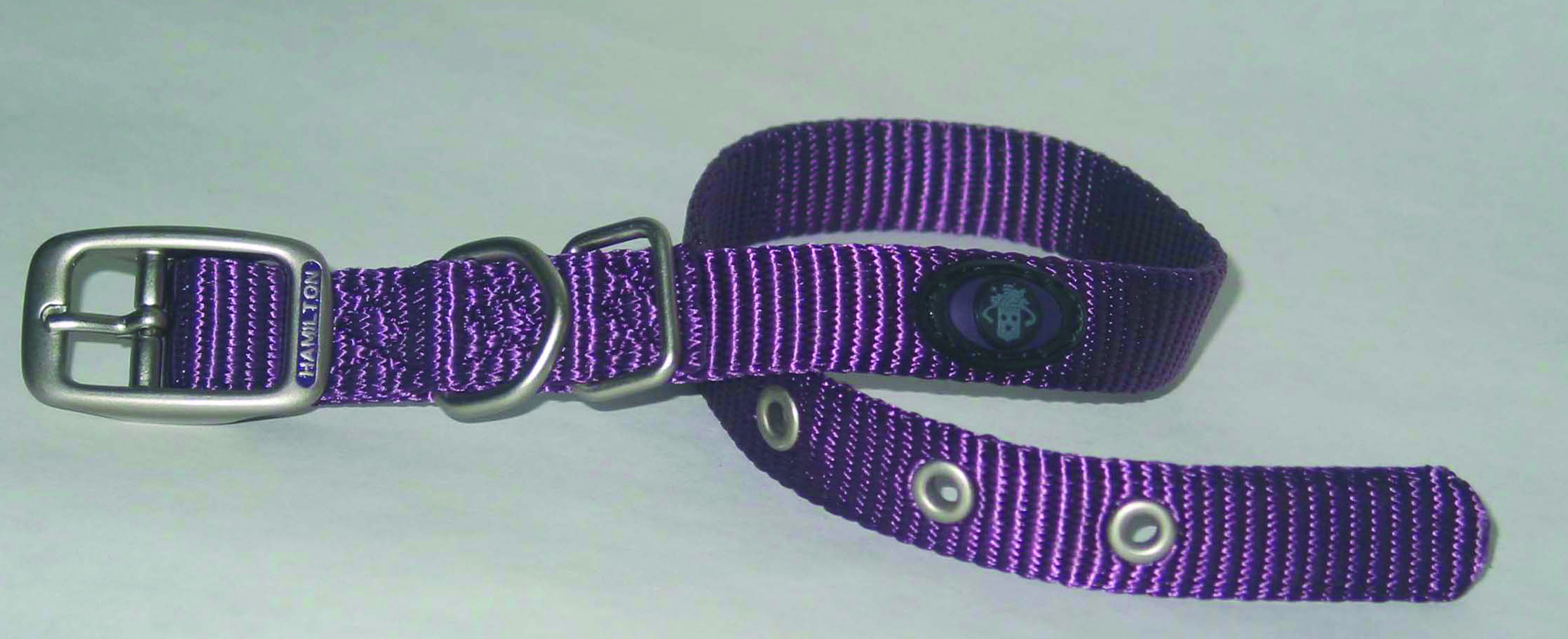 SINGLE THICK NYLON DOG COLLAR