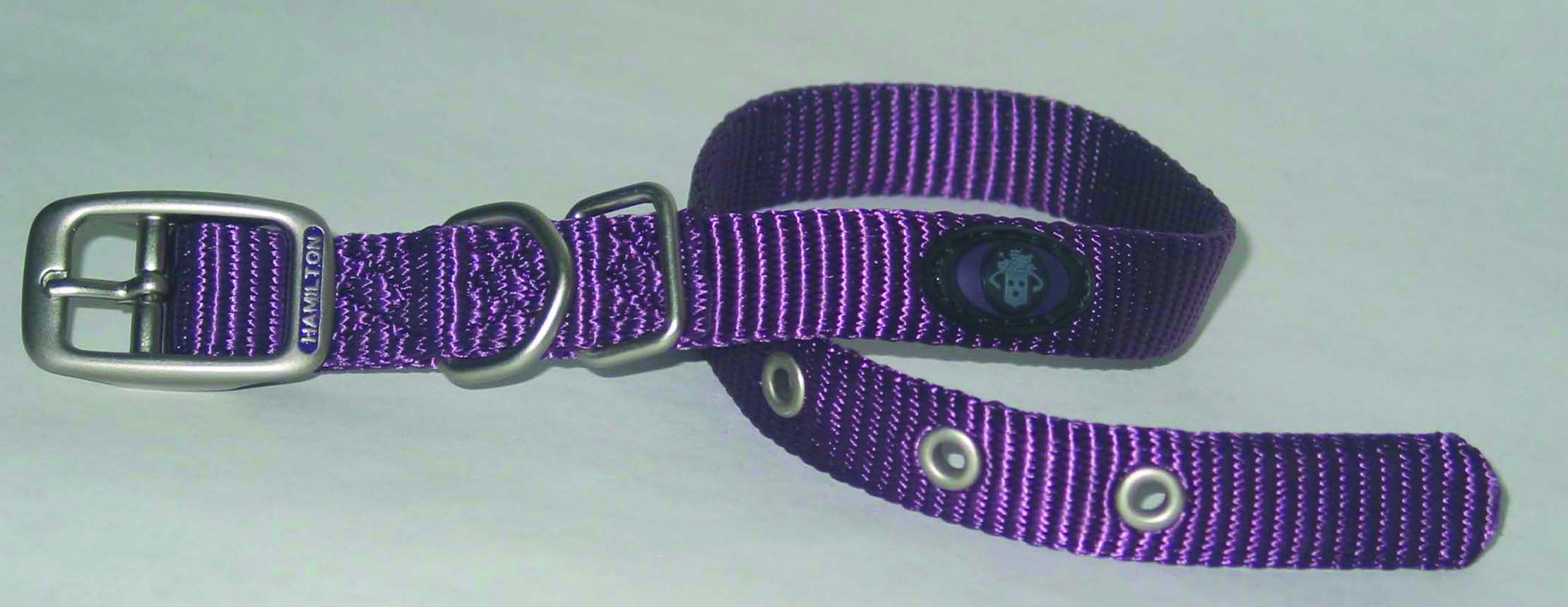 SINGLE THICK NYLON DOG COLLAR