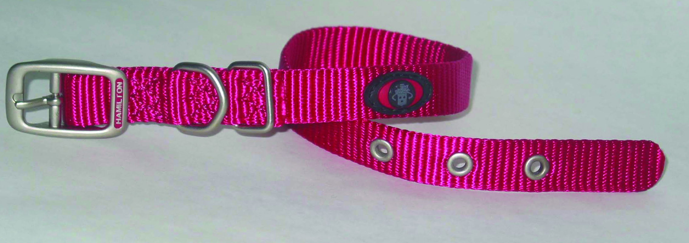 SINGLE THICK NYLON DOG COLLAR