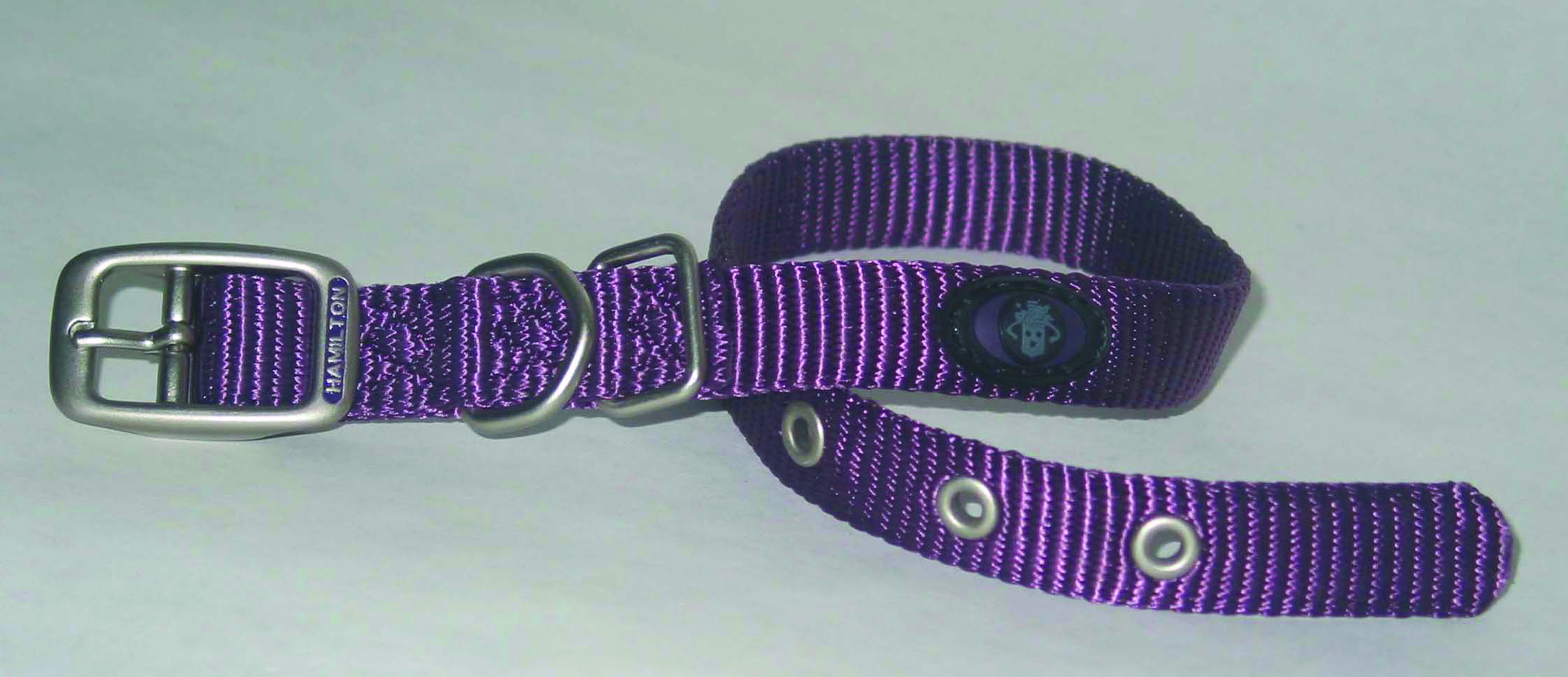 SINGLE THICK NYLON DOG COLLAR