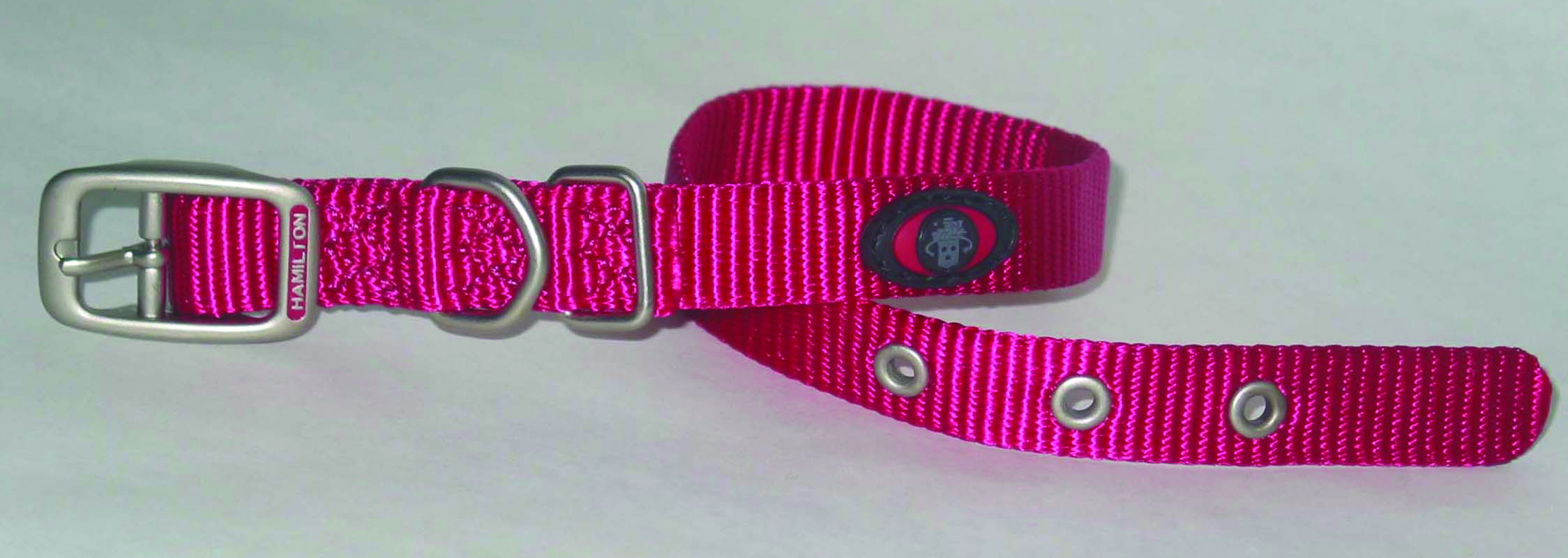 SINGLE THICK NYLON DOG COLLAR