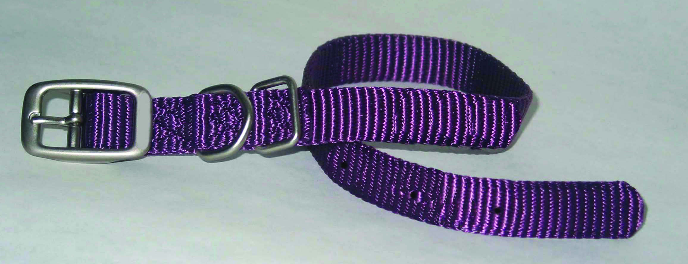 SINGLE THICK NYLON DOG COLLAR