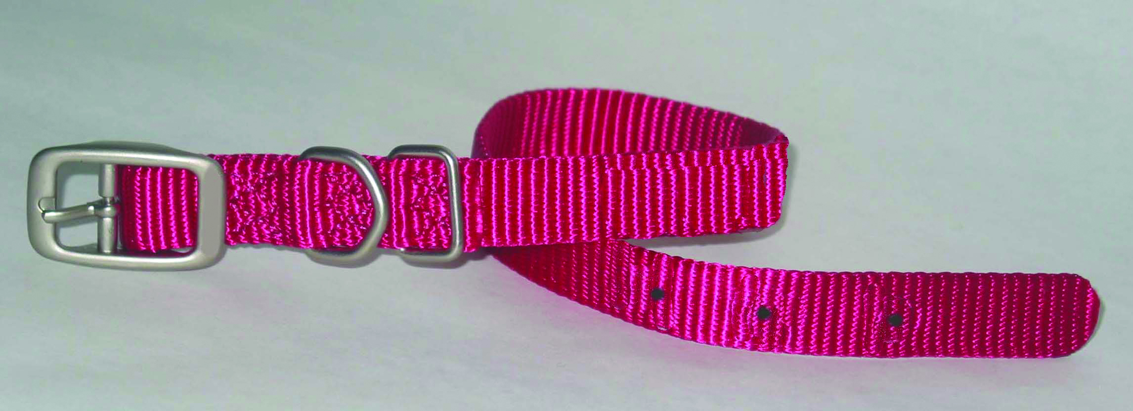 SINGLE THICK NYLON DOG COLLAR