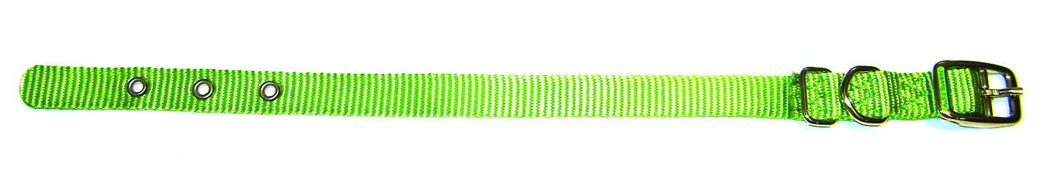 5/8" Nylon Dog Collar - Lime
