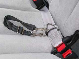 Adjustable Seat Leash