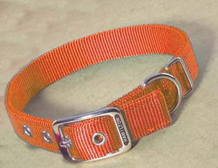 Double Nylon Dog Collar - Mango