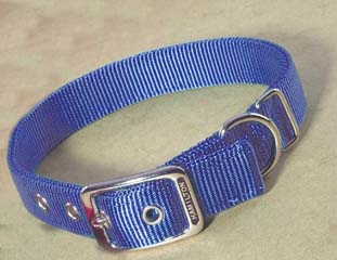 Double Nylon Dog Collar - Berry