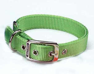 Double Nylon Dog Collar - Lime