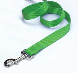 4' Dogs Leash W/Snap - Lime