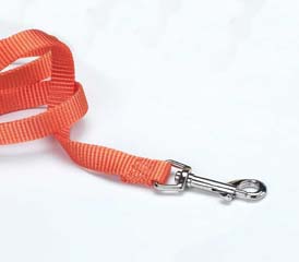 6' Dogs Leash W/Snap - Mango