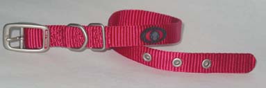 SINGLE THICK NYLON DOG COLLAR