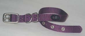 SINGLE THICK NYLON DOG COLLAR