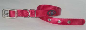 SINGLE THICK NYLON DOG COLLAR