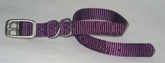 SINGLE THICK NYLON DOG COLLAR