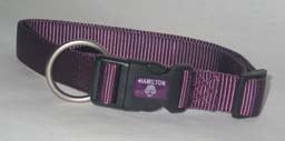 ADJUSTABLE DOG COLLAR