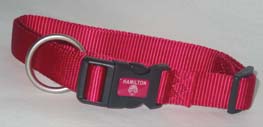 ADJUSTABLE DOG COLLAR