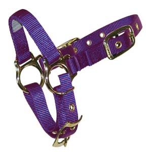 ADJUSTABLE CHIN HALTER WITH SNAP