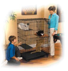 CAT PLAYPEN