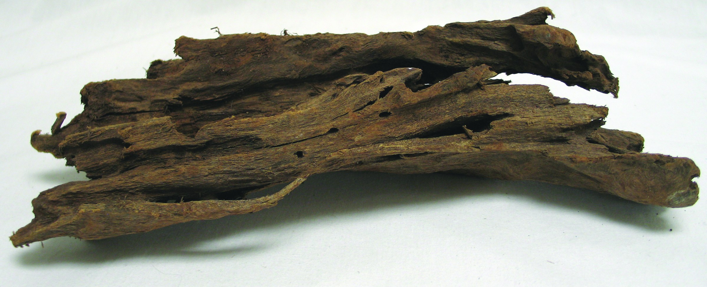 MALAYSIAN DRIFTWOOD