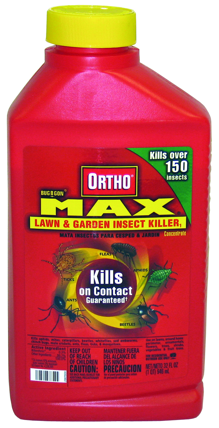 BUG B GONE MAX INSECT KILLER CONCENTRATE