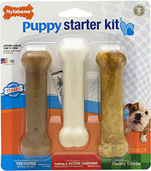 Nylabone Puppy Starter Kit